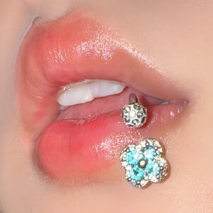 {fBsAX jZbNX lt̃N[o[ Ip[ WRjA T[WJXeX OsAX sAX sAX wbNX RN gKX I X^CbV  1.2m