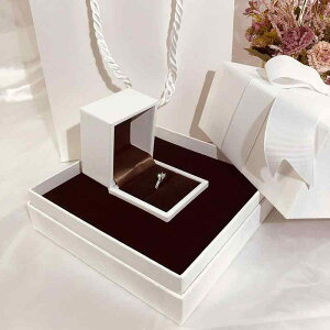 WG[{bNX p v|[Y w  GKg { zCg PUU[ lbNX CO sAX LO a v[g [ ۊ