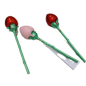 wփP[X WG[{bNX v|[Y w w֗p  ㎿ vbVI[v [Y o KN sN bhJ[ [{bNX