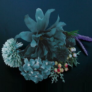  fB[X p  񂴂 a ÓTI  t[ wAANZT[  a   {w~A u[ p[vn H~