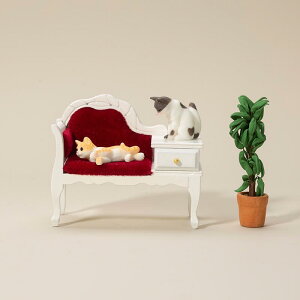 h[nEXp ~j`AƋ 1/12XP[ rO \t@[ [e[u ot Lrlbg [I ː zCg AJJg[ 