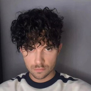  EBbO jp ubN V[gJ[ Z  lH ϐt@Co[  RȎdオ ig C[W`FW