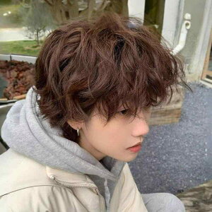  EBbO Y jp V[gwA Z n wA ӂ {[ ̃EF[u RȃA lH tEBbO