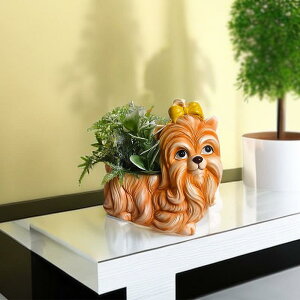 Aؔ V[Y[ `[t W u 킢 J[gD[ IuWF V  O rO  K[fjO eX