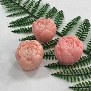 P[L^ oQ VR[h  nhCh A}Lh A}Xg[  َq fR[V Ntg Hi _ zCg(x2)