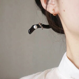  fB[X a g _ V `Ci h ؐ p[ g{ Vo[  AbvwA nhCh Vv(x2)