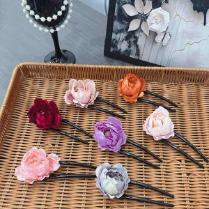  fB[X ݃[Y a ؕ_ ԃ`[t ܂Ƃߔ   GKg i   wAANZT[(x2)