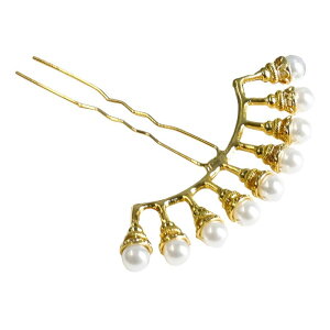  Õ a g p[ AȂ  wAANZT[  `CihX a l Ǝ  p[eB[ wbhhX D i GKg ԃ`[t   S[