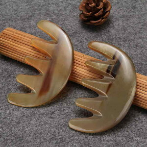  ̊p ÓdCh~ }bT[W o ܖ{w R[  L VRf ^ bNX J