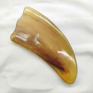  pv[g  ^ Ki }bT[W c{ ؖ[X_ Sg tFCX {fBPA e ZtPA ނݑ΍    r tbV XgX