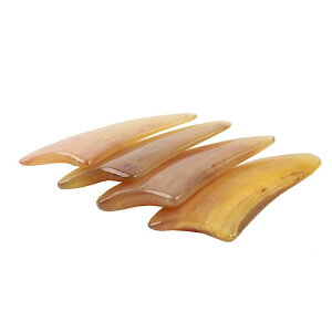 JbTv[g p Op` ؃XeBbN c{ }bT[W{[h tFCX {fBPA e Sg ZtPA VRf tbV ObY