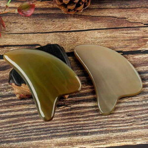 v[g VRp  Sg w }bT[W ؖ[X c{ ZtPA ^ e  si _