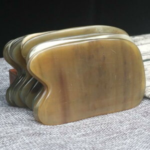  Np p lp XNGA VRf }bT[W {fBPA e N v[g ZtPA c[ si GXe tbV