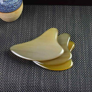 v[g p }bT[WXeBbN  tFCX Sg   w p {fBPA VRf GXe e ZtPA ނ݉ si bNXObY