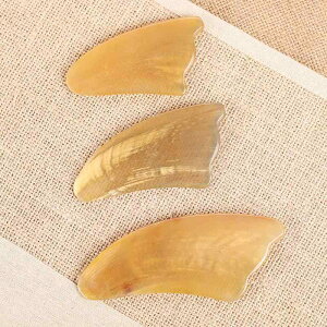 v[g  Mp p i  Op` lp^ Ȑ^ e {fBPA tFCVPA ی }bT[W ZtPA