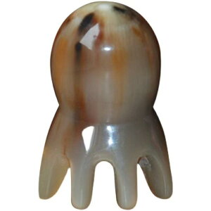 o}bT[WuV ̊p ^R^ Ch c{ si Vv[p ƒp gїp RpNg ubN zCg