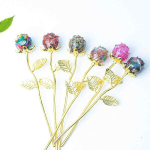 IuWF VR  W [Y NX^t[ u  킢 CeA  p[Xg[ Jbv yA Mtg v[g AWXg [YNH[c Vg