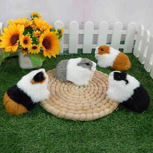 ʂ nX^[ bg A I tFCNt@[  }XRbg tBMA u 킢 F  DF ԕ a v[g Mtg q FB