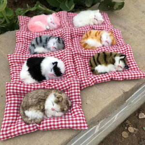 L u AȔLtBMA |Y Y DꂽL ԍ _bV{[h J[CeA _炩z 킢 ӂӂ ₵ObY 7FWJ