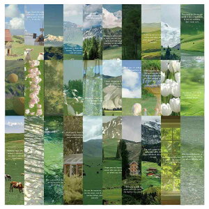 ������ �w���p 30���Z�b�g �΂̐X �厩�R���i ���� �O���[�� ������� �ڂɗD���� ���g�� �N���G�C�e�B�u ������ �Ǐ��L�^ �u�b�N�}�[�N ���[��