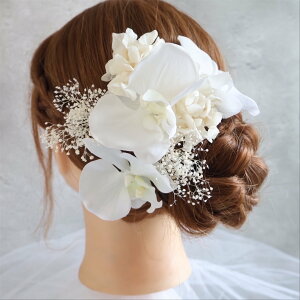 Ӓ@C@EFfBO@@l@Ǝ@a@Ӓ@@l@uC_@FŊ|@ł|@ӒyWa014z