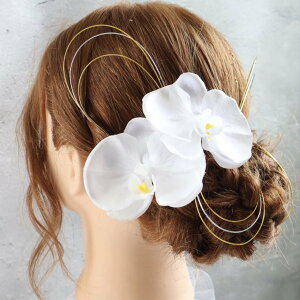 ӒƔ@VvZbg@EFfBO@@a@C@FŊ|@l@Ǝ@ӒyWa013z