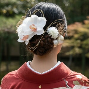 Ӓ  C EFfBO  l Ԑcق̂sN a i l U葳 awAANZT[ a a萬l aɍ ɍ 