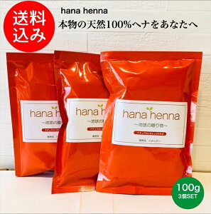 【正規販売店】【土,日発送 送料無料】hana henna ハナヘナ ナチュラル(オレンジ)100g 3個SET /ヘナ 白髪染め 天然100%ヘナ 無添加 トリートメント 天然ハーブ 手選別ヘナ 白髪 ヘアカラー ヘナ