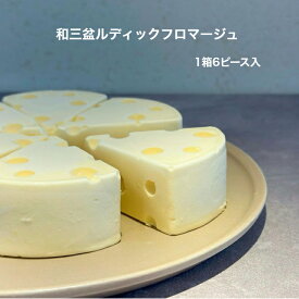 【送料無料】BON COFFRET 和三盆ルディックフロマージュ 1箱6ピース 和三盆 和三盆糖 チーズケーキ ケーキ ギフト 徳島県 阿波市 手作り おしゃれ 洋菓子 お菓子 御礼 内祝い 手土産 異動 挨拶 スイーツ 贈り物 御祝 敬老の日 プレゼント お年賀 御歳暮 服部製糖所