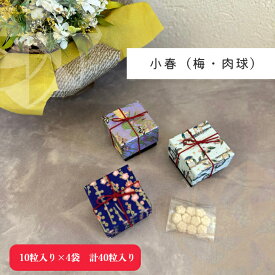 【送料無料】BON COFFRET 和三盆 和三盆糖 干菓子小春 梅 肉球 10粒入り×4袋 1個 2個 4個 9個 徳島県 砂糖 スイーツ お茶菓子 和菓子 ギフト お取り寄せ 和三盆 和三盆糖 お土産 サトウキビ プレゼント 茶菓子 茶会 茶道 友禅 服部製糖所