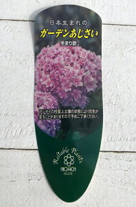 苗 紫陽花の人気商品 通販 価格比較 価格 Com