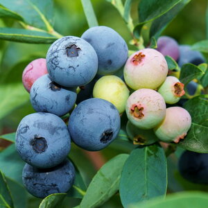 u[x[ c yT^tF iTUnCubVnjz 2N }ؕc c x[ ʎ ʎc