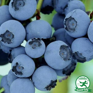  u[x[ c yNC}bNX irbgACnjz 2N }ؕc ij[ܕtj c x[ ʎ ʎc kCE͑KpOłB