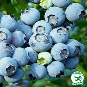 u[x[ c yfCg irbgACnjz 2N }ؕc c x[ ʎ ʎc