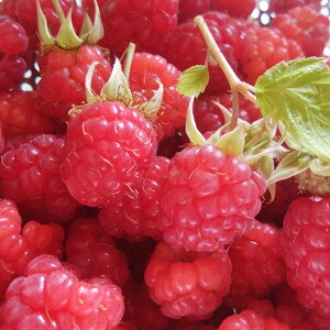  Yx[ c y T}[tFXeBo iGjz 1N|bgc ij[ܕtj LC`S ؂ x[ c ʎc kCE͑KpOł