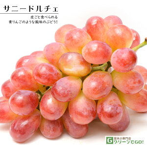 Ԃǂ c yTj[h`F mo^inz 1N ECXt[ ڂ |bgc  Ԃǂ̖ ʔ ʎ ږ c t 鐫A