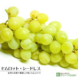 Ԃǂ c yqbg V[hXz 1N } |bgc  Ԃǂ̖ ʔ ʎ c t 鐫A