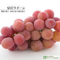 楽天市場】安芸クイーン 皮の通販
