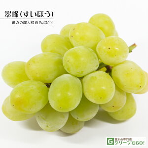 Ԃǂ c y iقj mo^inz 1N ECXt[ ڂ |bgc  Ԃǂ̖ ʔ ʎ ږ c t 鐫A