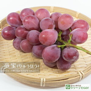 Ԃǂ c y iイقjz 1N ECXt[ ڂ |bgc   Ԃǂ̖ ʔ ʎ ږ c t 鐫A