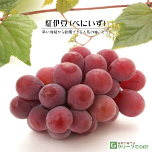 Ԃǂ c ygɓ iׂɂj Onz 1N ECXt[ ڂ |bgc  Ԃǂ̖ ʔ ʎ ږ c t 鐫A