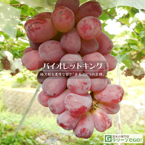 Ԃǂ c yoCIbgLOz 3N ECXt[ ڂ 1.1m c  Ԃǂ̖ ʔ ʎ ږ c t 鐫A
