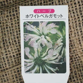 楽天市場 アールグレイ 花 ガーデン Diy の通販