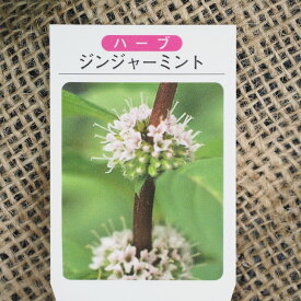 楽天市場 ジンジャー ガーデニング 農業 花 ガーデン Diy の通販