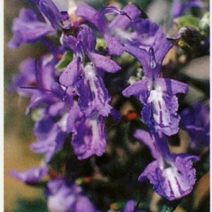 [Y}[ c yv[u[z 3|bgc n[u c n[ueB[  n[uoX hCt[ |v A