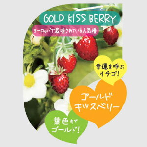ワイルドストロベリー 苗の人気商品 通販 価格比較 価格 Com