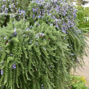 [Y}[ c yvXg^X i^Cv N[sOjz 3|bgc n[u c n[ueB[  n[uoX hCt[ |v A