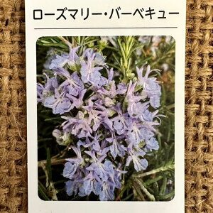 [Y}[ c yo[xL[z 3|bgc n[u c n[ueB[  n[uoX hCt[ |v A