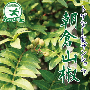ʌ c R c yX[p[XgO gQȂTVE qR i炳񂵂傤jz 3N ڂ 1.3m c c ʎ ʎc Rڂؕc