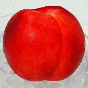 D2Nc  c ylN^ Giイقjz 2Nc ڂ  c ʎ ʎc